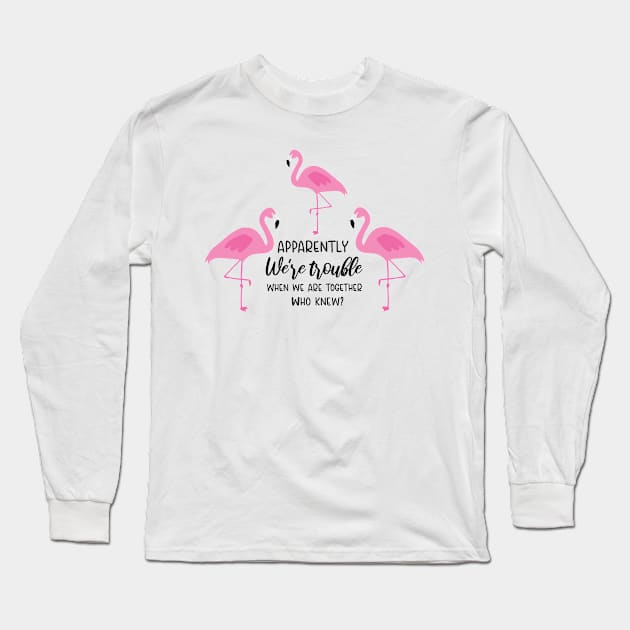 Flamingo Lovers Gift, Apparently we're trouble when we are together Who knew Long Sleeve T-Shirt by hugandmug